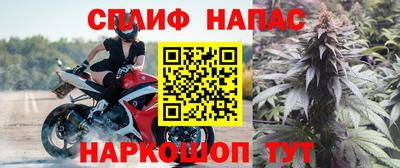 индика Анапа